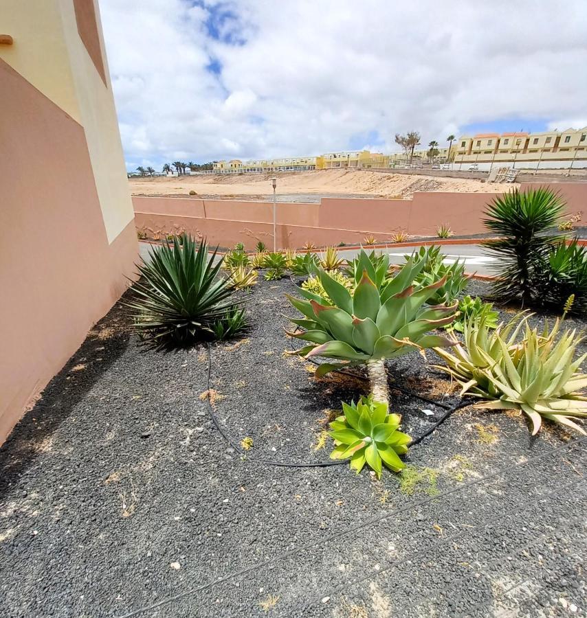 Vila Vv La Choza Costa De Antigua Exteriér fotografie